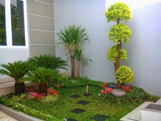 cara menghias taman rumah model taman rumah taman rumah belakang cara penataan taman ruah palem phoenix