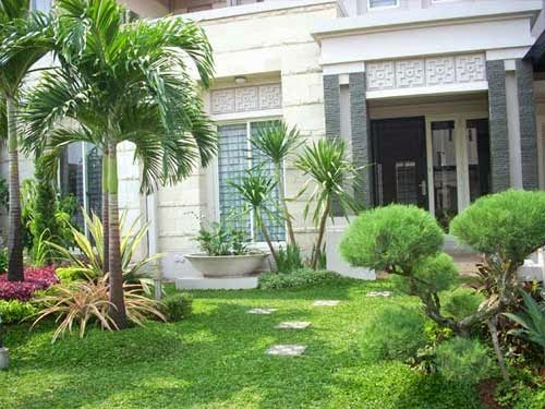 cara menghias taman rumah model taman rumah cara penataan taman pohon untuk taman rumah palem