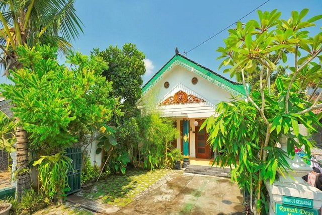 taman rumah sederhana di desa dengan pohon rimbun