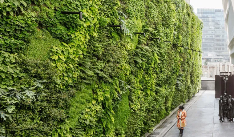 vertical-garden